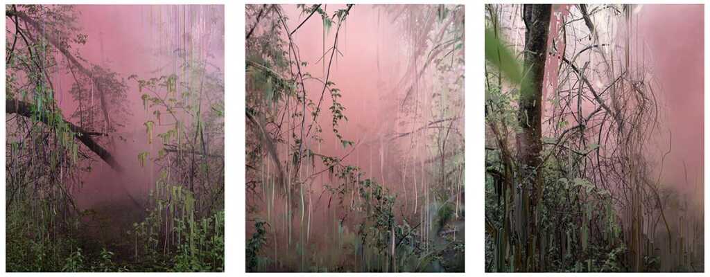 Sandra Kantanen, Untitled (Forest 17, 18 and 14), 2019
 Pigment print.  117 x 97 cm
 © the artist, courtesy: Persons Projects | Helsinki School