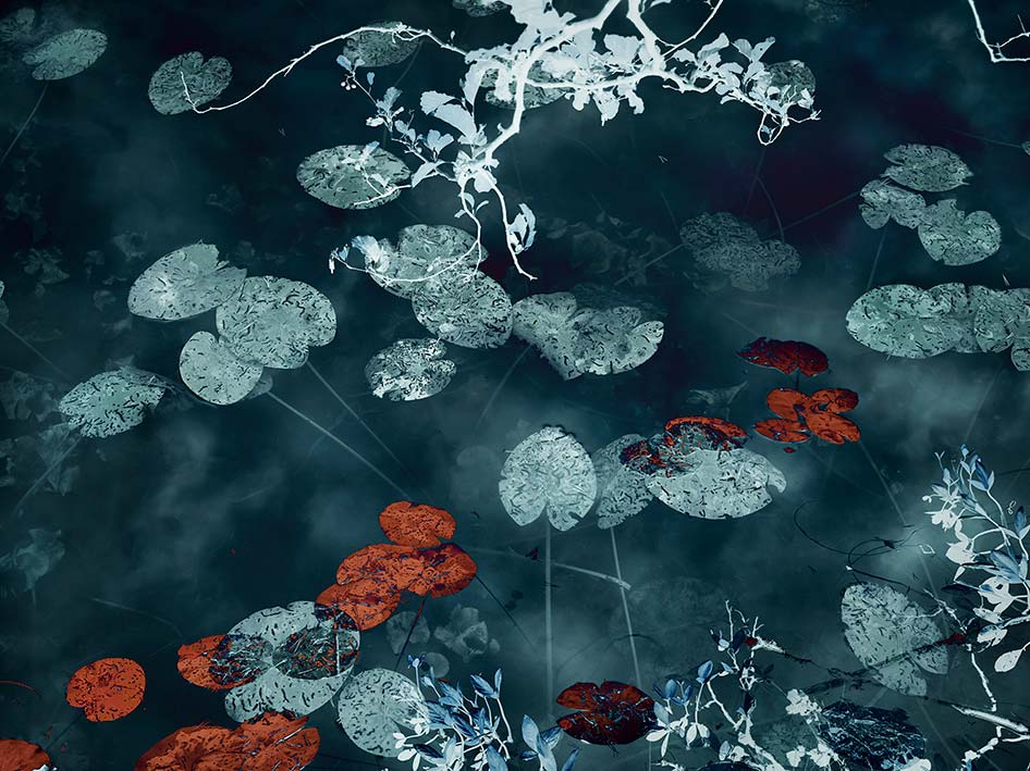 Santeri Tuori, Water Lilies #14, 2020
Pigment print
160,5 x 219 cm
© the artist, courtesy: Persons Projects | Helsinki School