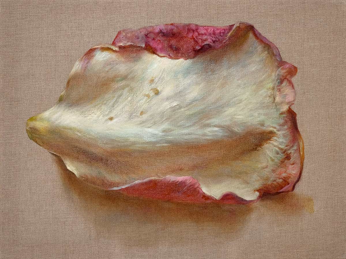 Withered rose petal (Verblühtes Rosenblatt)
 Oil on canvas. 60 x 80 cm. 2020