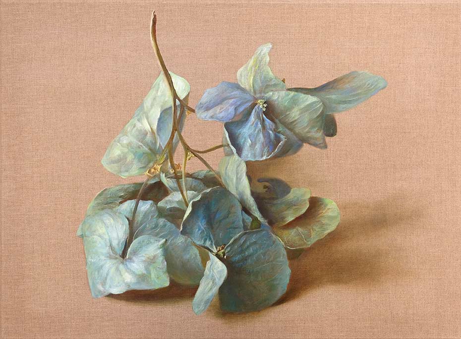 Hydrangea 2 (Hortensie 2)
Oil on canvas. 60 x 80 cm. 2020