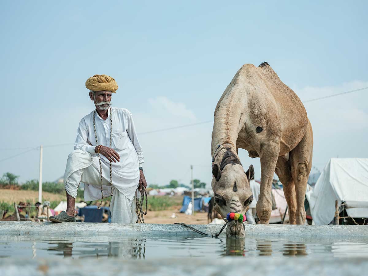 A man and his camel at Pushkar Camel Fair 2019. José Jeuland © All rights reserved.