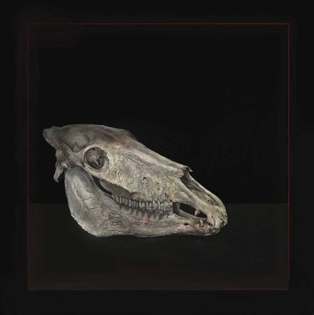 Horse Skull. 2022
Oil on canvas. 102 x 102 cm