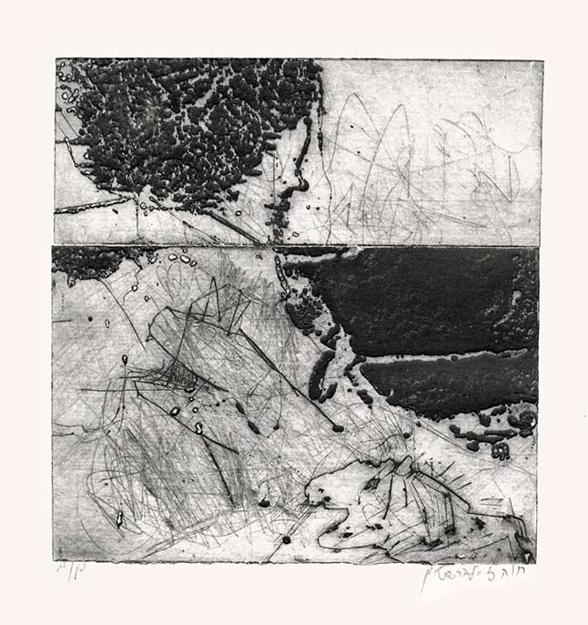 Untitled #643. 2023 Etching, Dry Point. 34x24 cm
Hava Zilbershtein © All rights reserved.