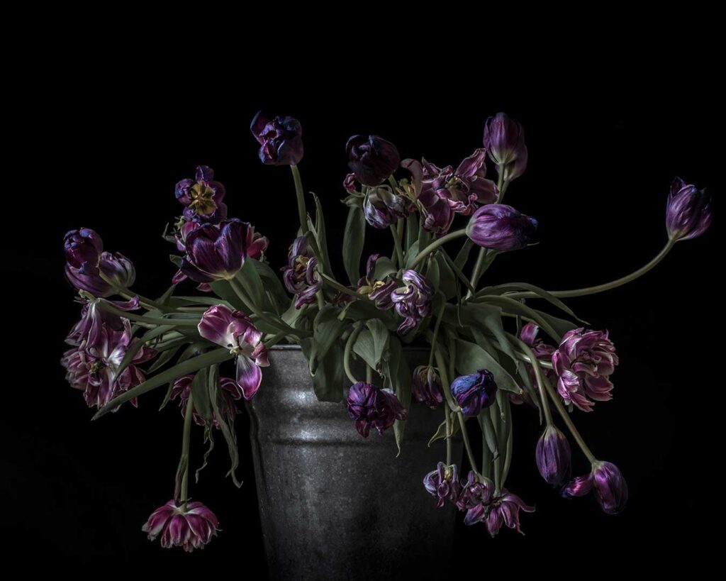 Flowers in a Vase III, 2019
40 x 50 cm. Giclée Print
Mieke Douglas © All rights reserved.