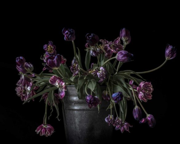 Flowers in a Vase III, 2019 40 x 50 cm. Giclée Print Mieke Douglas © All rights reserved.