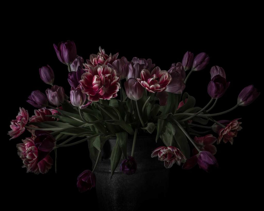 Flowers in a Vase I, 2019
40 x 50 cm. Giclée Print
Mieke Douglas © All rights reserved.