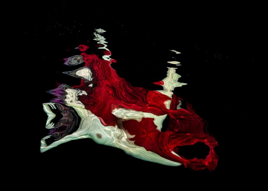 Bordeaux
Alex Sher ©  All rights reserved.