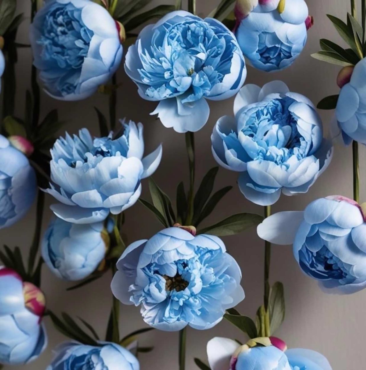 Irina Metz
Still Blues #6
Digital art, limited print edition on canvas. 1 of 10. 45x45cm. 2026
JS Gallery © All rights reserved.