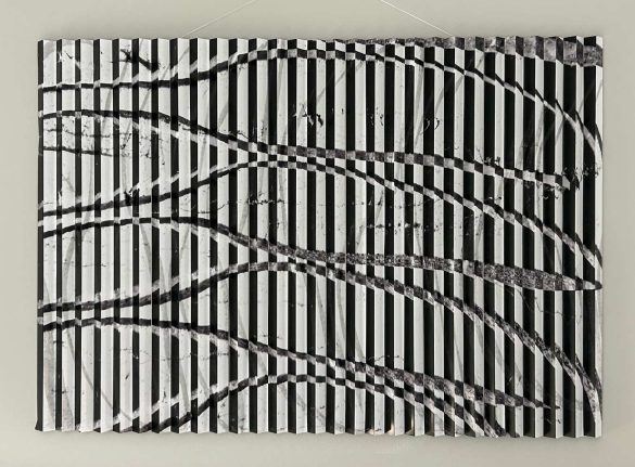 A Matter of Perspective. Two digitally edited macro photographs of pear papyrus, combined using a specialized 3D folding technique, mounted on aluminum. Depending on the viewing angle, two distinct images become visible. 60 x 85 cm. 2024 Isabella Richter © All rights reserved.