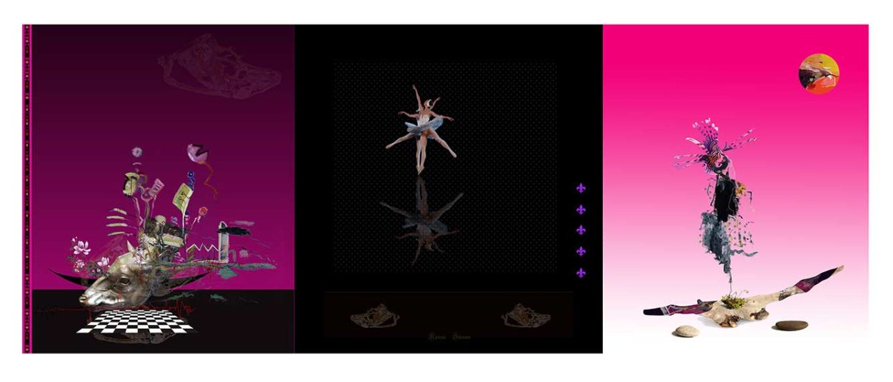 Opus Swan lake - 2020, Digital art. 
Quality print on canvas. 86 x 220 cm. Limited edition. Rossen Stanoev © 
All rights reserved.
